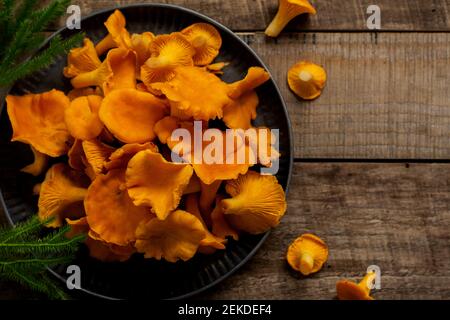 Chanterelles de champignons dans un bol rétro en fer et mousse de forêt sur un vieux fond en bois. Maquette. Vue de dessus. Banque D'Images