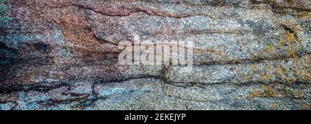 Lichen coloré sur la formation rocheuse, Alabama Hills, Inyo County, Californie, États-Unis Banque D'Images