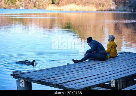 Heureux Père et fils nourrissant les canards sur le lac Banque D'Images
