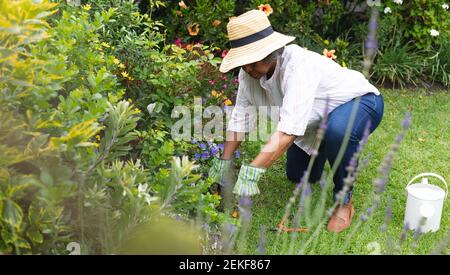 Femme sénior afro-américaine réfléchie portant des gants de jardinage dans le jardin Banque D'Images
