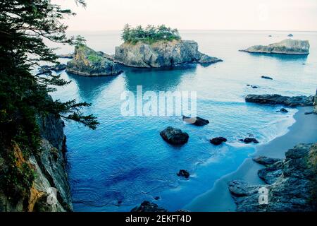 Côte de mer bleue, parc national Samuel H. Boardman, Brookings, Oregon, États-Unis Banque D'Images