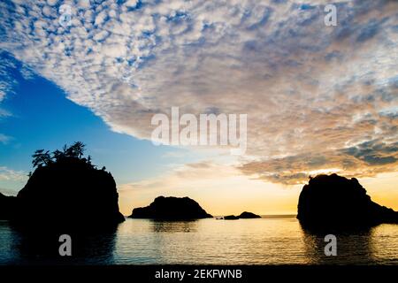 Altocumulus nuages au-dessus des formations rocheuses en mer au coucher du soleil, Samuel H. Boardman State Park, Brookings, Oregon, États-Unis Banque D'Images