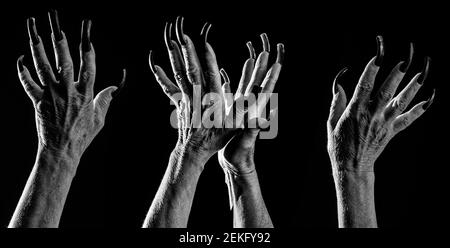 Gros plan des vieilles mains de femmes avec de longs ongles noirs sur fond sombre. Banque D'Images