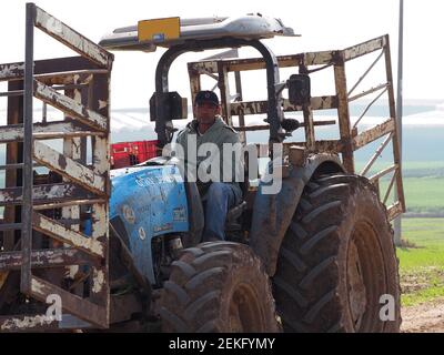 Un travailleur thaïlandais travaille sur un vieux tracteur dans les champs israéliens. 6 février 2021. Banque D'Images