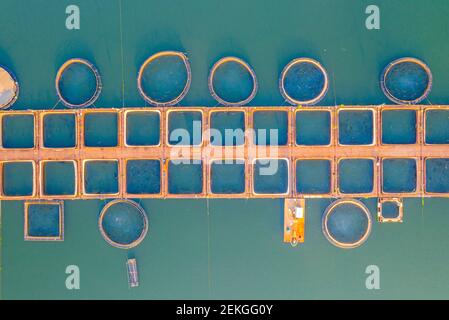 Structure de reproduction des poissons située au barrage de Kardzhali en Bulgarie Banque D'Images