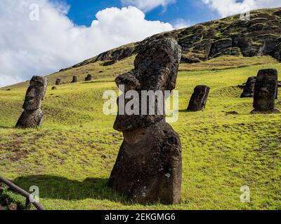 Statues de Moai à Rano a Raraku, île de Pâques, Polynésie chilienne Banque D'Images