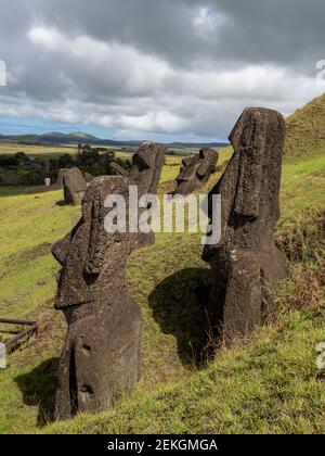 Statues de Moai à Rano a Raraku, île de Pâques, Polynésie chilienne Banque D'Images