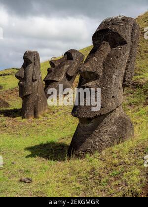 Statues de Moai à Rano a Raraku, île de Pâques, Polynésie chilienne Banque D'Images