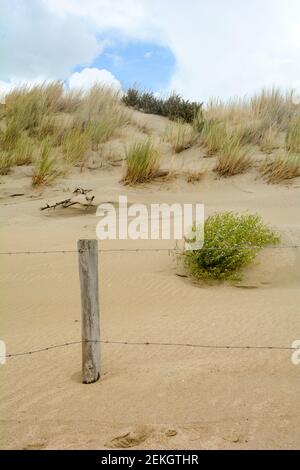 Clôture barbelée dans les dunes de sable de Zeeland aux pays-Bas avec pelouse de plage, ciel bleu et nuages Banque D'Images