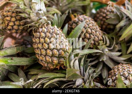 Un panier d'ananas en vente sur le marché asiatique. Produit naturel, dessert sain. Banque D'Images