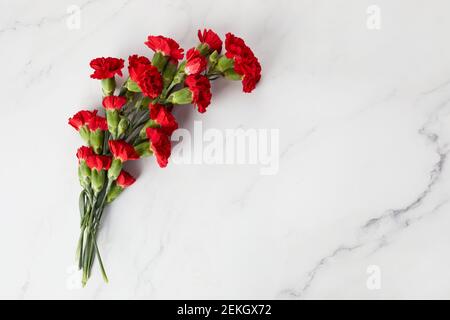 La belle carnation fleurit sur fond de marbre. Vue de dessus Banque D'Images