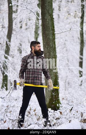 Homme avec gants chauds et veste à carreaux en forêt. Barbe et moustache avec macho est titulaire d'ax. Guy avec la lettre, avec des arbres couverts de neige sur l'arrière-plan. Hipster woodsman concept. Banque D'Images