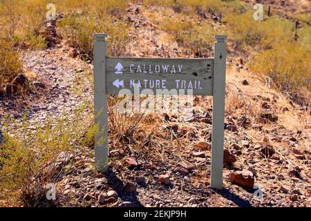 Panneau de la piste de Calloway et de la piste de la nature dans l'État de Picacho Peak Parc en Arizona Banque D'Images