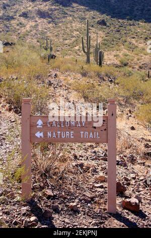 Panneau de la piste de Calloway et de la piste de la nature dans l'État de Picacho Peak Parc en Arizona Banque D'Images