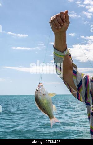 Pêcheur montrant un poisson pêché, Cuba Banque D'Images