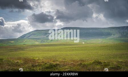 Prairie verte et tourbière avec vue sur une promenade en bois menant à la montagne Cuilcagh, orageux, ciel spectaculaire en arrière-plan, Irlande du Nord Banque D'Images