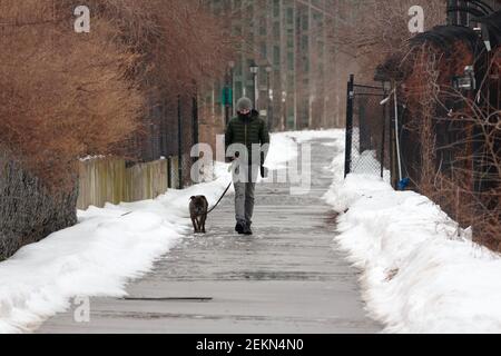 une femme s'est empaquée pour le froid lors de promenades en hiver un bulldog sur une laisse sur un chemin urbain avec de la neige de chaque côté à new york Banque D'Images