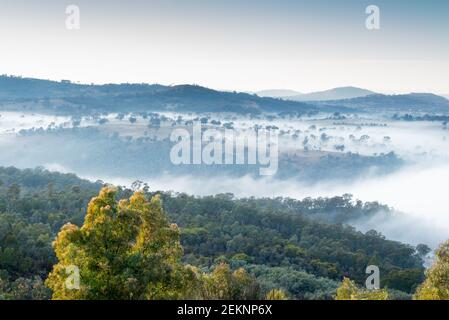 Brume matinale le brouillard tourbillonnant apporte douceur au début de la journée. TERRITOIRE DE CANBERRA Banque D'Images