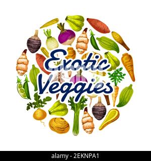 Icône végétagies exotiques, nourriture saine. Pois vectoriels et chayote, plat à cheval et betterave, céleri et navet, panais et chou-rave, mini-maïs et rutabaga, cassa Illustration de Vecteur