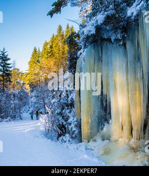 Hiver à Bergen, Norvège. D'immenses glaces dans une forêt à l'extérieur de la ville de Bergen. Banque D'Images