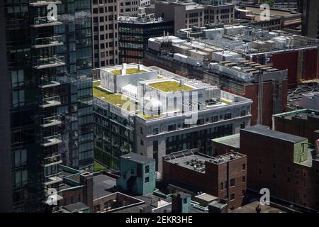 Une vue aérienne d'un toit-terrasse vert dans un Environnement urbain Boston Massachusetts Banque D'Images