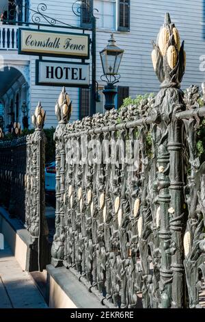 Détails extérieurs de la clôture en fer forgé en face de l'hôtel Cornstalk, Cornstalk Fence Hotel, New Orleans French Quarter, New Orleans, USA Banque D'Images