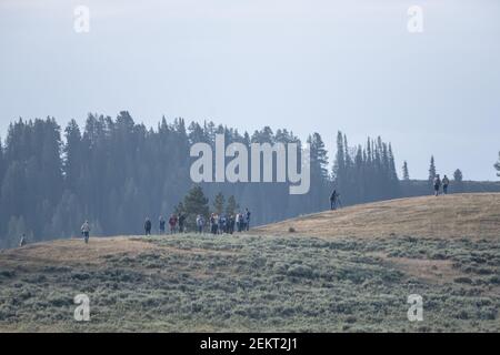 Wolf Watchers dans la vallée Hayden du parc national de Yellowstone Banque D'Images