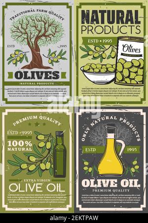 Produits naturels d'olives, huile extra vierge rétro et fruits sur les branches. Vinaigrette biologique vectorielle en bouteilles et en cruches, en bouteille et dans un bol de vert choisi o Illustration de Vecteur