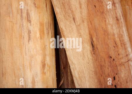 Texture en teck séchée pour les matériaux de construction. Utilisez le bois pour la fondation d'une maison indonésienne traditionnelle. Beau détail en bois sec Banque D'Images