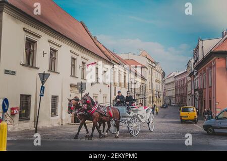 De beaux chevaux bruns et calèche blanc offrent de l'équitation autour de ville Banque D'Images