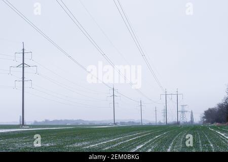 Lignes électriques de recul dans la distance. Perspective des lignes électriques haute tension de la tour et d'un champ semé avec du blé d'hiver en hiver. Banque D'Images