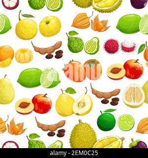 Fond de motif tropical de fruits, récolte de fruits sans couture, vecteur. Fruits exotiques fond de durian tropique, tamarin et pêche, physalis, chaux et Illustration de Vecteur