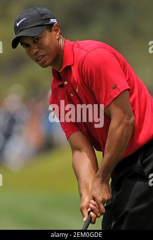 San Diego, Californie. 15 juin 2008. Tiger Woods (USA) sur le green du 2ème trou dimanche pendant la dernière partie de l'US Open au parcours de golf de Torrey Pines à la Jolla Californie. Louis Lopez/Cal Sport Media. Crédit : csm/Alay Live News Banque D'Images