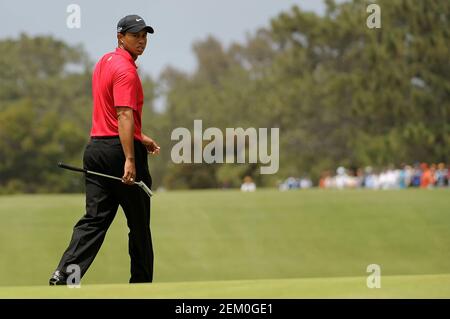 San Diego, Californie. 15 juin 2008. Tiger Woods (USA) sur le green du 2ème trou dimanche pendant la dernière partie de l'US Open au parcours de golf de Torrey Pines à la Jolla Californie. Louis Lopez/Cal Sport Media. Crédit : csm/Alay Live News Banque D'Images