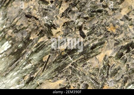 Actinolite [hydroxyde de silicate de calcium] minéral silicate d'amphibole Banque D'Images