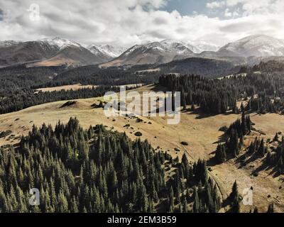 Vue aérienne de la forêt d'épicéa dans la belle vallée de montagne avec Collines enneigées au Kazakhstan Banque D'Images
