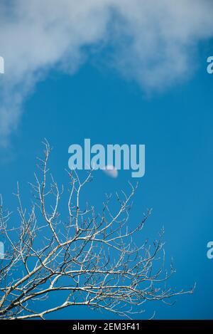 Une demi-lune floue sur le ciel bleu et des nuages clairs pendant la journée. Banque D'Images