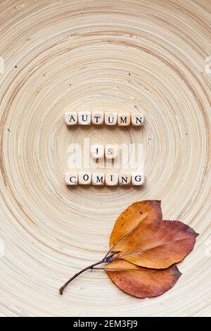 L'expression AUTOMNE VIENT fait de cubes en bois sur un fond en bois avec des feuilles d'automne colorées. Plat moderne dans un style écologique Banque D'Images