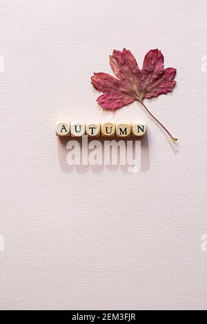 Composition saisonnière minimaliste. Le mot AUTOMNE fait de cubes en bois sur fond rose avec des feuilles d'automne colorées Banque D'Images