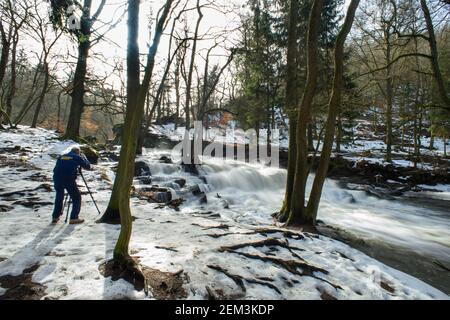 Alexisbad, Allemagne. 24 février 2021. Un travailleur passe sa pause déjeuner aux chutes Selke et prend des photos avec son trépied des masses d'eau qui se précipitent sur les cascades de la vallée. Le dégel s'est également installé dans les montagnes Harz. Ce n'est que dans les forêts que les champs de neige ont survécu aux températures printanières. Il est censé rester ensoleillé toute la semaine, mais il va de nouveau se refroidir à la fin de la semaine. Credit: Klaus-Dietmar Gabbert/dpa-Zentralbild/dpa/Alay Live News Banque D'Images