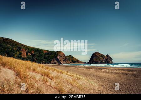 La belle plage de Piha autour du célèbre Lion Rock, en Nouvelle-Zélande Banque D'Images