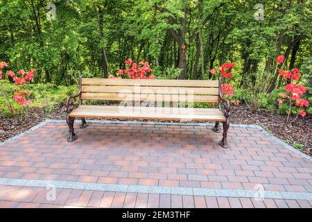 Un coin confortable dans le parc - un banc confortable, une forêt de feuillus et des buissons d'azalées fleuries. Banque D'Images