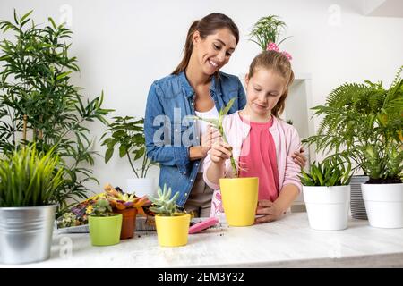 Adolescente tenant une plante avec atteindre de jeunes racines qui est prêt à être replanté dans le pot de fleur sous l'oeil vigilant de sa mère, répliquant Banque D'Images