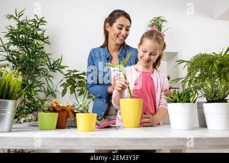 Adolescente tenant une plante avec atteindre de jeunes racines qui est prêt à être replanté dans le pot de fleur sous l'oeil vigilant de sa mère, répliquant Banque D'Images