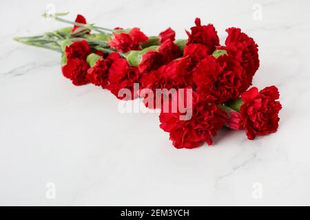 La belle carnation fleurit sur fond de marbre. Vue de dessus Banque D'Images