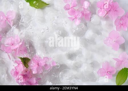 Romantique, doux et beau motif rose hortensia fleurs fond Banque D'Images