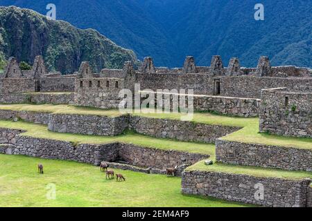 La ville inca de Machu Picchu au Pérou. Bien que connu localement, il n'était pas connu des Espagnols pendant la période coloniale et était inconnu de l'outsi Banque D'Images