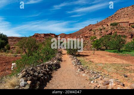 Draa-Tafilalet, Maroc - 14 avril 2016 : vue sur un village traditionnel avec un champ agricole dans la région de Draa-Tafilalet, Maroc, Afrique du Nord Banque D'Images