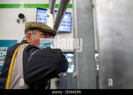 Les agriculteurs qui participent à la vente de bétail pendant la pandémie de Covid-19 portent un masque de protection pour prévenir la propagation du virus. ROYAUME-UNI Banque D'Images