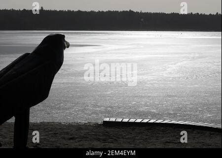 24 février 2021, Mecklembourg-Poméranie occidentale, Waren (Müritz) : une figure d'oiseau se dresse au Müritz recouvert de glace sombre. Malgré les températures douces pendant plus d'une semaine, une couverture de glace arrête toujours la navigation sur le Müritz. Photo: Bernd Wüstneck/dpa-Zentralbild/dpa Banque D'Images